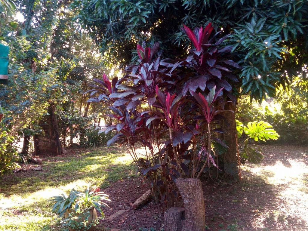 Folks Iguazu - Casa De Huespedes Bed & Breakfast Puerto Iguazu Exterior photo